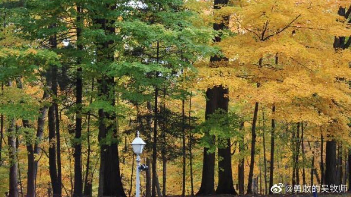 买dy赞自助下单平台